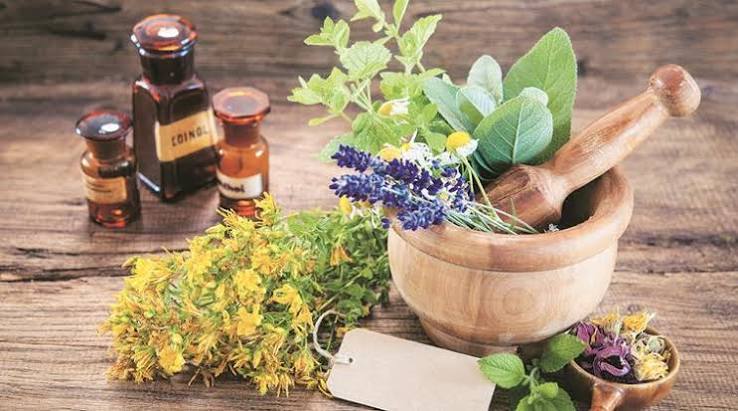 Medicinal Plants — Browse 1 varieties